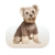 Dog Apparel