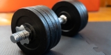 Top 5 Adjustable Dumbbells for Home Gym Workouts