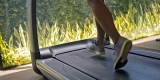 Top 5 Treadmills for Home Workouts
